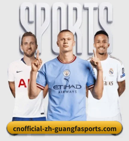 五大服务分区,信息按项目分类 - 多运动项目内容板块